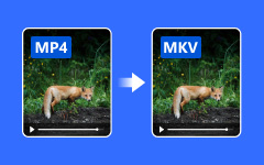 Convert MP4 to MKV