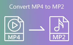 Convert MP4 to MP2