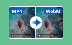 Convert MP4 Video to WebM