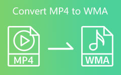 Convert MP4 to WMA