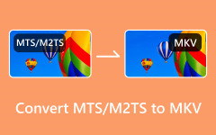 Convert MTS M2TS to MKV