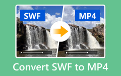 Convert SWF to MP4