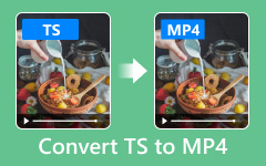 Convert TS to MP4