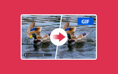 Convert Video to GIF