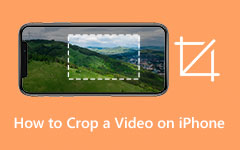 Crop A Video on iPhone