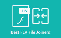 FLV File Joiner