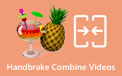 Handbrake Combine Videos