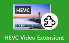 HEVC Videoo Extensions