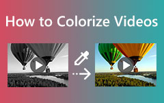 How to Colorize Videos