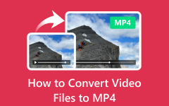 Video to MP4