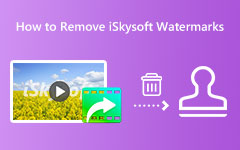 How to Remove iSkysoft Watermark