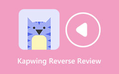 Kapwing Reverse Review