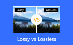 Lossy vs Losslesss