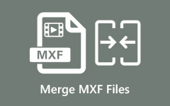 Merge MXF Files