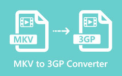 MKV to 3GP Converter