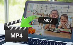 MKV to MP4