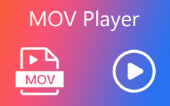 MOV Player