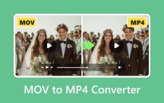 MOV to MP4 Converter