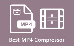 MP4 to MP3