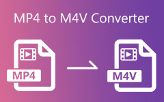 MP4 to M4V Converter