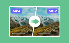 MP4 to MOV converter