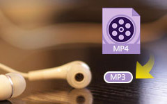 MP4 to MP3