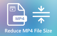 Reduce MP4 File Size