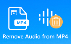 Remove Audio from MP4