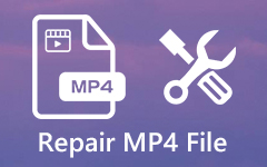 Repair MP4 File