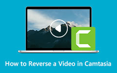 Reverse a Video in Camtasia