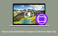 Reverse Video Clip in AVID Media Composer