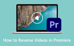 Reverse Videos in Premiere