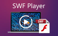 SWF Player