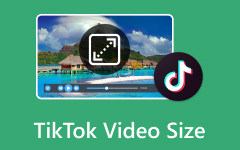 TikTok Video Size