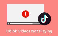 TikTok Videos Not Playing Repair