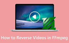 Use FFMPEG To Reverse Videos