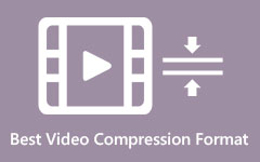 Compressed Video Formats