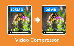 Video Compressor