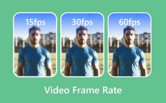 Video Frame Rate