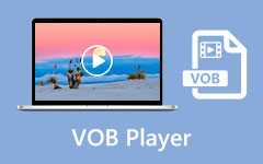 VOB Player