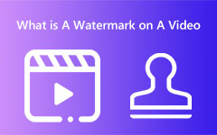 What is Watermark of Video