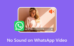 WhatsApp Video No Sound Repair