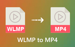 WLMP to MP4