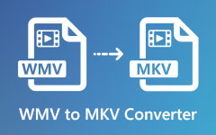 WMV to MKV Converter