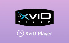 XviD Video Player