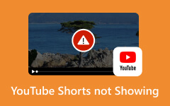 YouTube Shorts not Showing