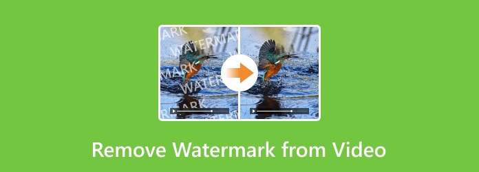 Remove Watermark from Video