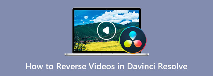 Reverse Videos in Davinci Resolve