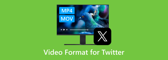 Twitter Video Format