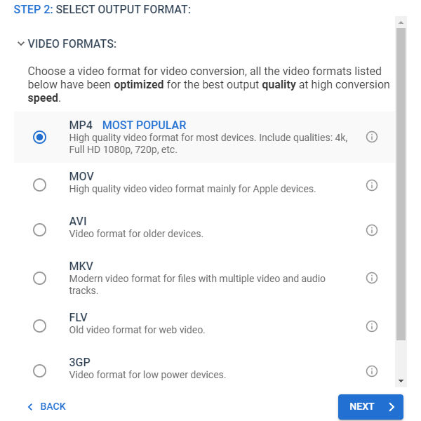 Select video format